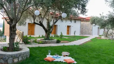Boho Garden