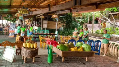 Bohol Bee Farm