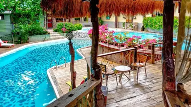 Bohol Bee Farm