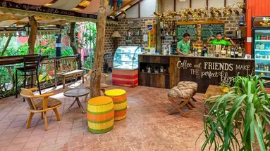 Bohol Bee Farm