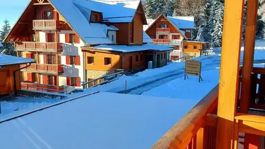 Bolfenk