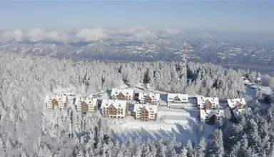 Bolfenk