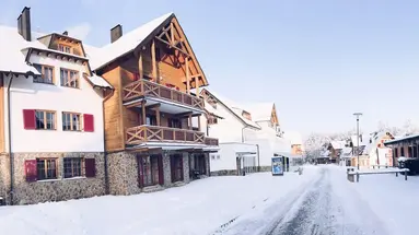 Bolfenk