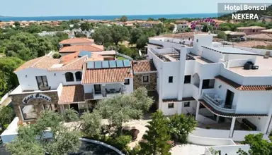 Bonsai (San Teodoro)