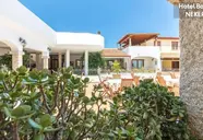 Bonsai (San Teodoro)