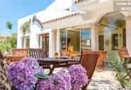 Bonsai (San Teodoro)