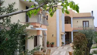 Bonsai (San Teodoro)