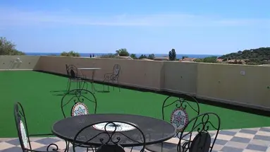 Bonsai (San Teodoro)