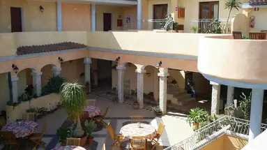 Bonsai (San Teodoro)