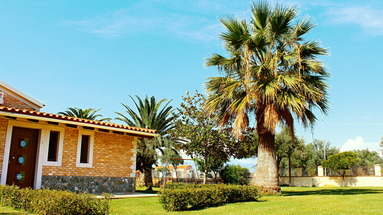 Bostonia Village