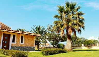 Bostonia Village