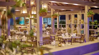Bougainvillea Beach Resort