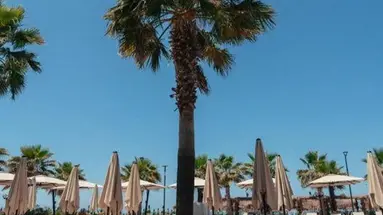 Bounty