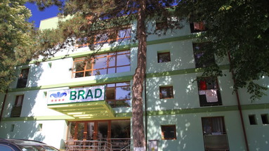Bran Brand Bega