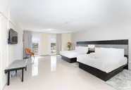 Brion City BW Signature Collection