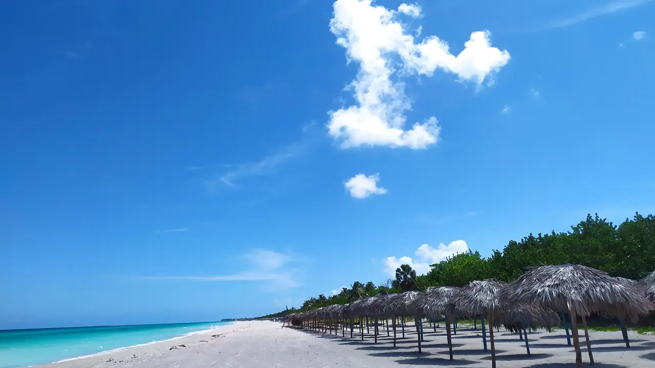 Brisas del Caribe