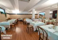 Bristol (Riva del Garda)