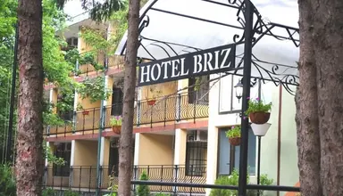 Briz