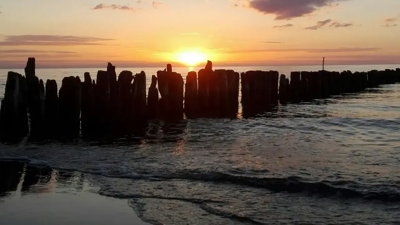 Bukowina