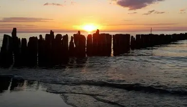 Bukowina