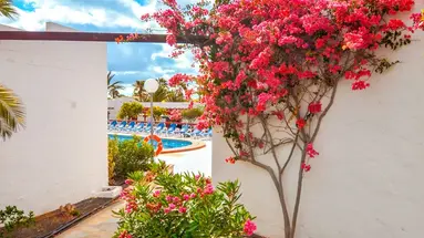 Bungalows Castillo Beach