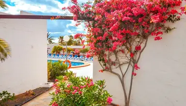 Bungalows Castillo Beach