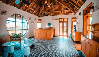 C Mauritius Palmar