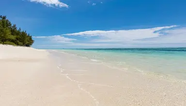 C Mauritius Palmar