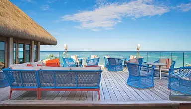 C Mauritius Palmar