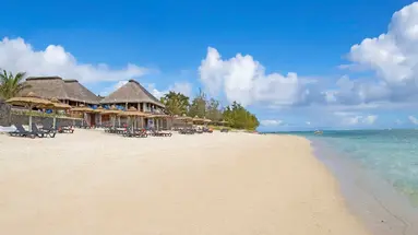 C Mauritius Palmar