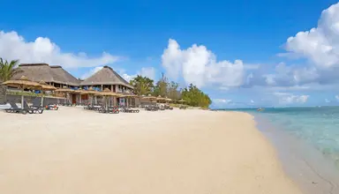 C Mauritius Palmar