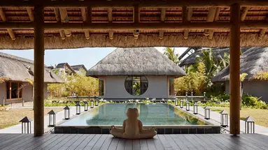 C Mauritius Palmar