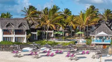 C Mauritius Palmar