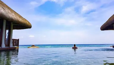 C Mauritius Palmar