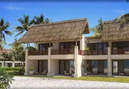 C Mauritius Palmar