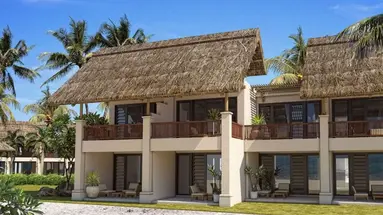 C Mauritius Palmar