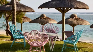 C Mauritius Palmar