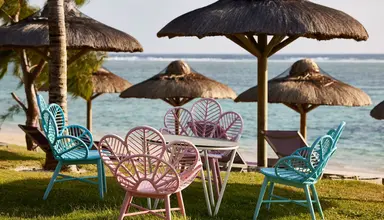 C Mauritius Palmar