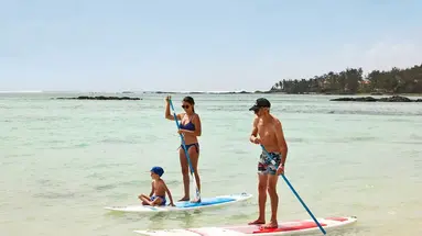 C Mauritius Palmar
