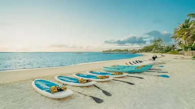 C Mauritius Palmar
