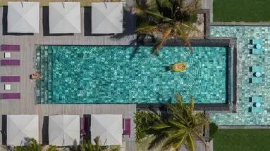 C Mauritius Palmar