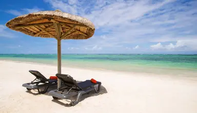 C Mauritius Palmar