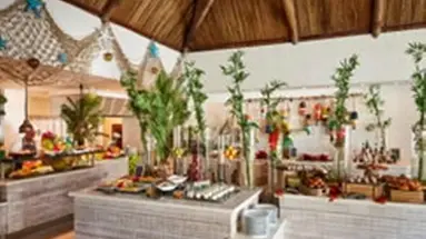 C Mauritius Palmar