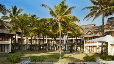 C Mauritius Palmar