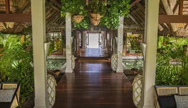 C Mauritius Palmar