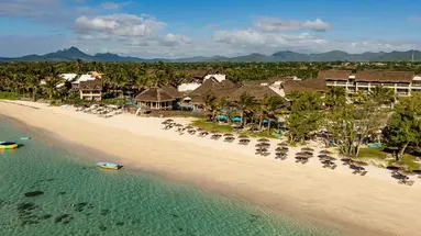 C Mauritius Palmar