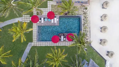 C Mauritius Palmar