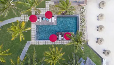 C Mauritius Palmar