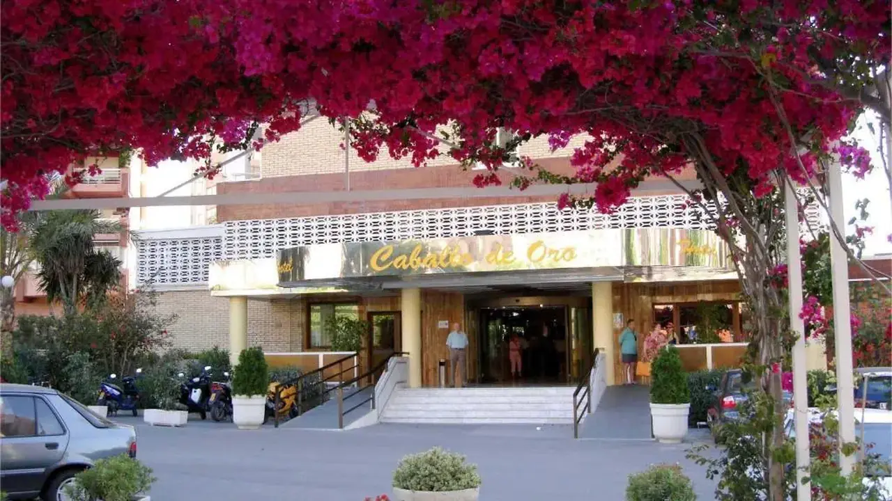 Caballo De Oro