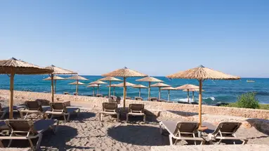 Cactus Bay